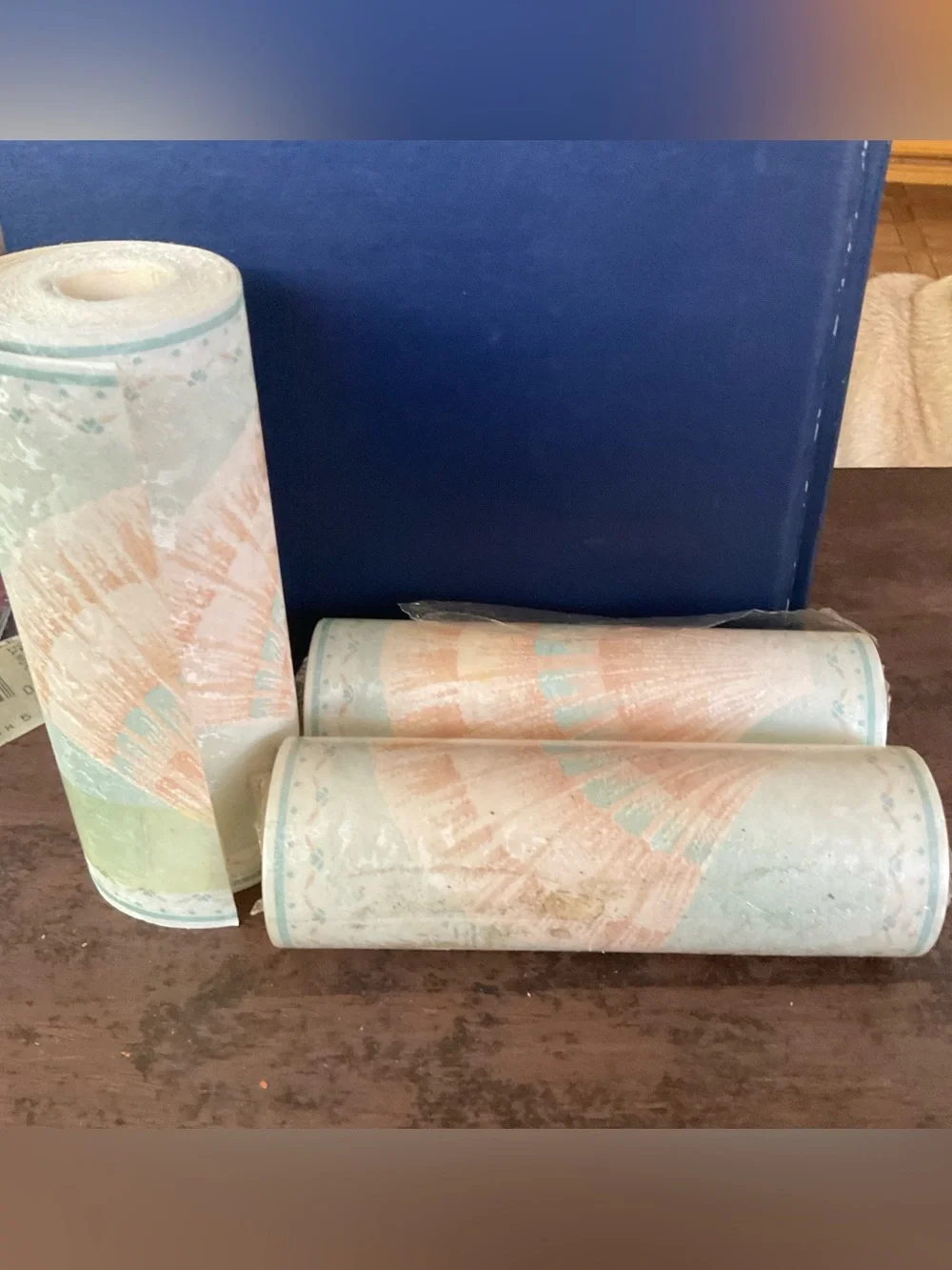 Vintage Wallpaper Border WB3165 Prepasted New